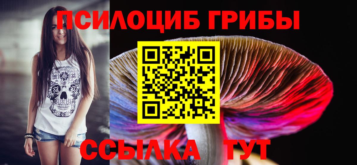 Галлюциногенные грибы Cubensis  Псилоцибиновые грибы прущие грибы  Сертолово  Вход с VPN 